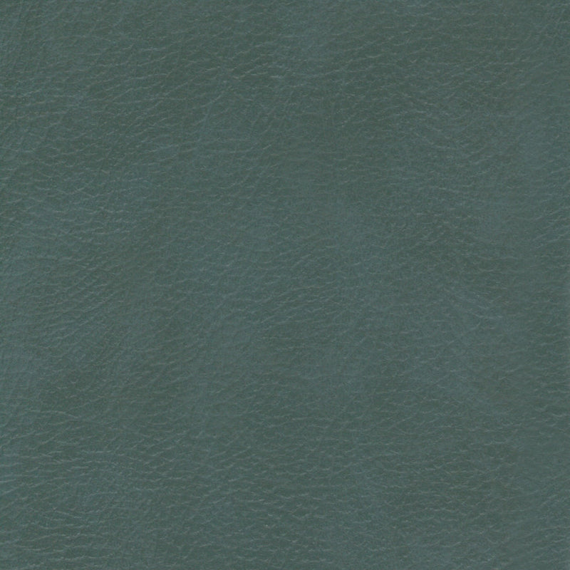 Leatheron Vinyl, Lichen, Upholstery Vinyl