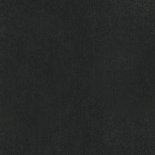 Aquaclean Magna 407 Sage