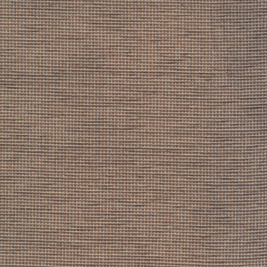 Causeway Plain Biscuit