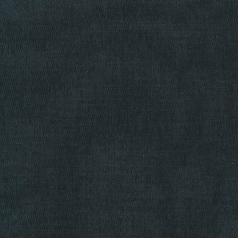 Arctic Teal