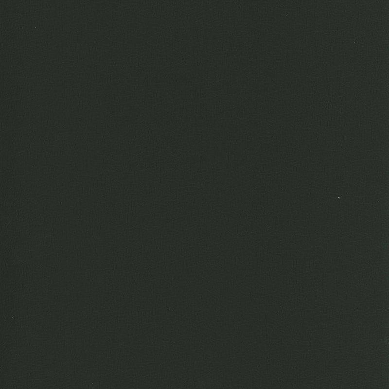 Bull Range Col: 62