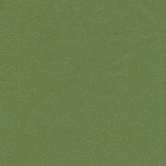 Tivoli Vinyl, Grass, Upholstery Vinyl