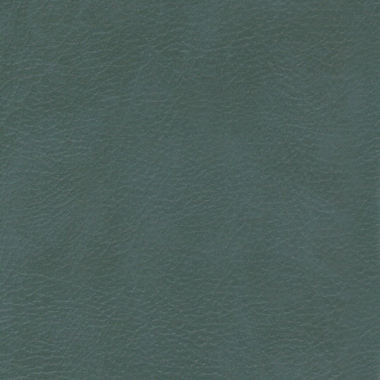 Leatheron Vinyl, Lichen, Upholstery Vinyl