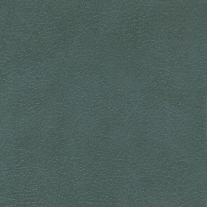 Leatheron Vinyl, Lichen, Upholstery Vinyl