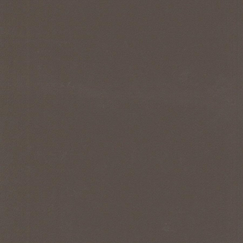 Tivoli Vinyl, Taupe, Upholstery Vinyl